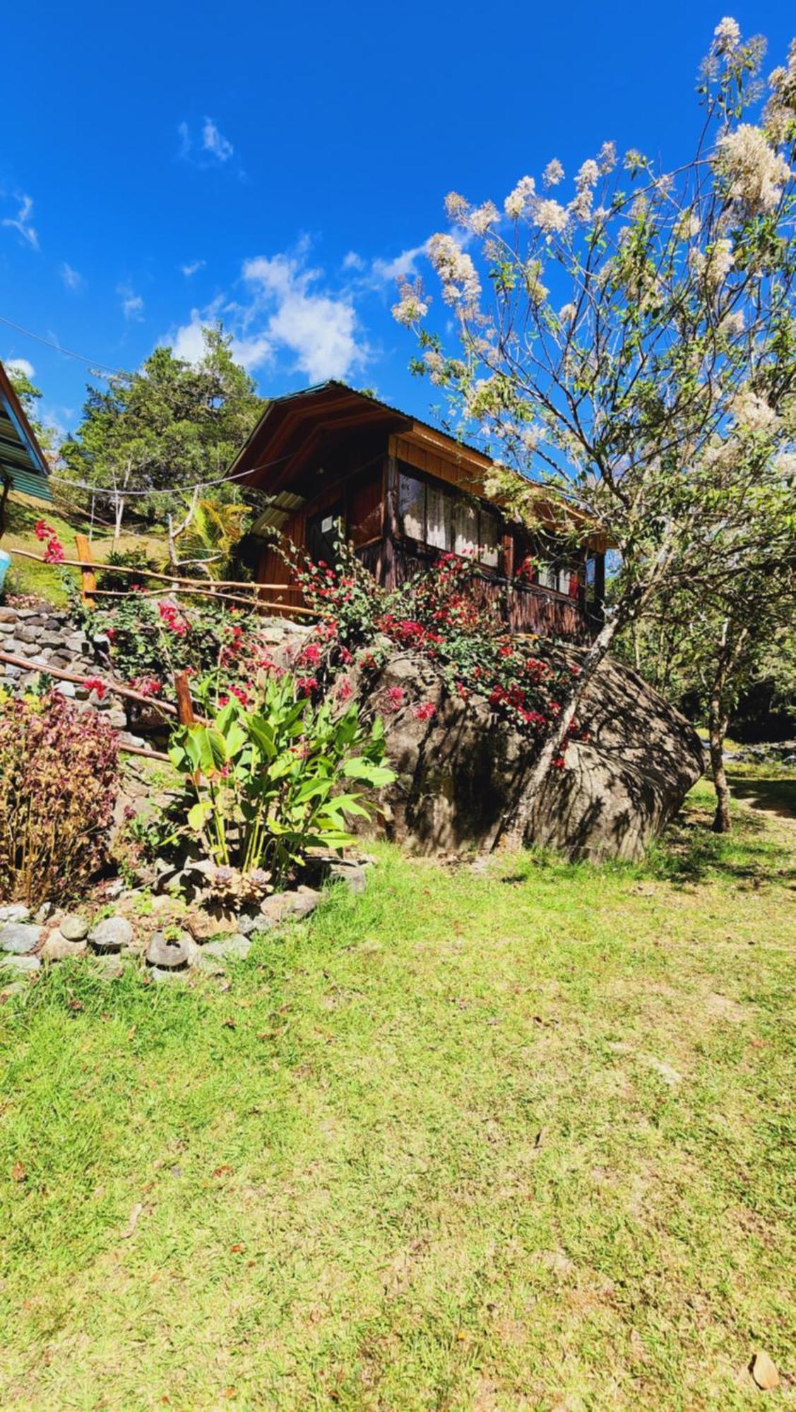 Hospedajes Richie Eco Camp Providencia المظهر الخارجي الصورة