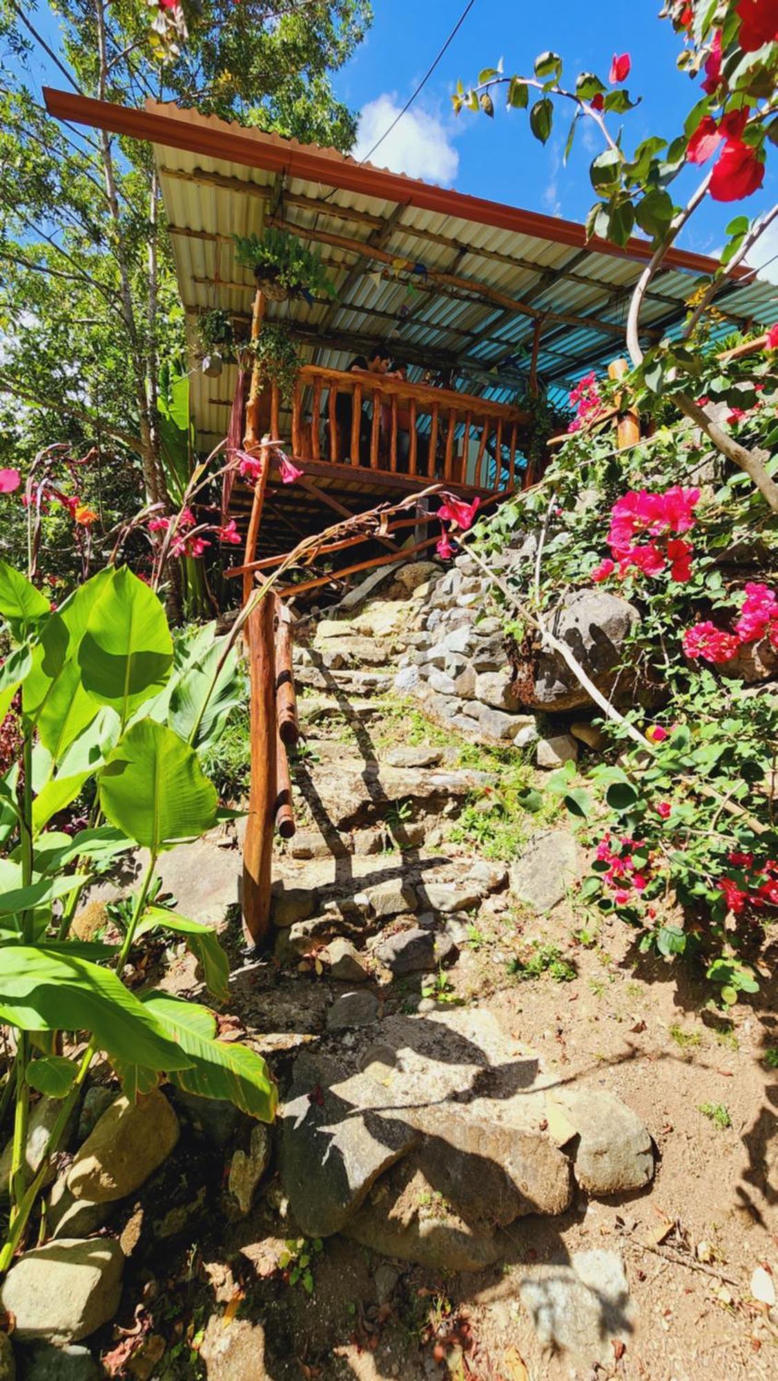 Hospedajes Richie Eco Camp Providencia المظهر الخارجي الصورة