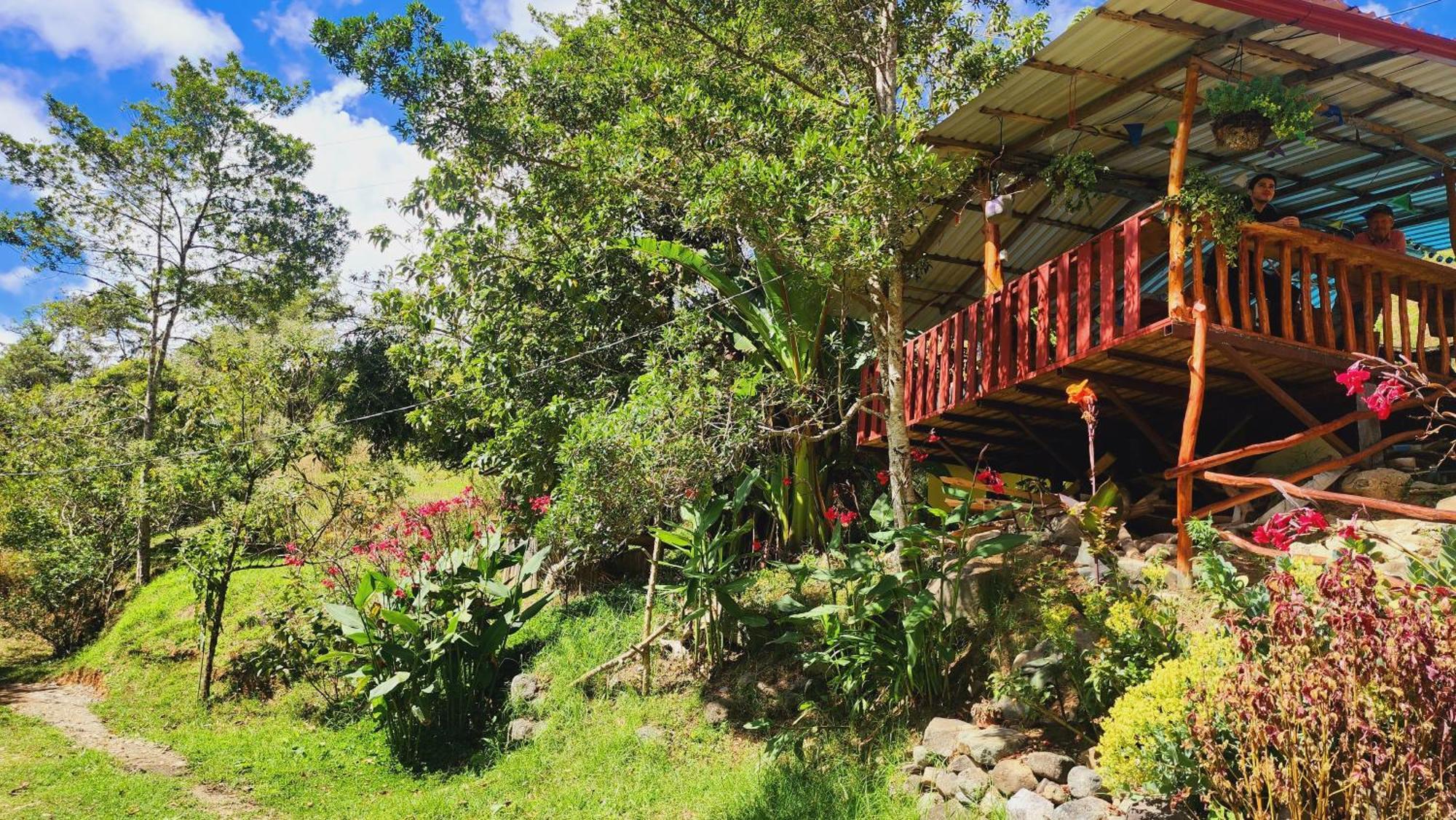 Hospedajes Richie Eco Camp Providencia المظهر الخارجي الصورة