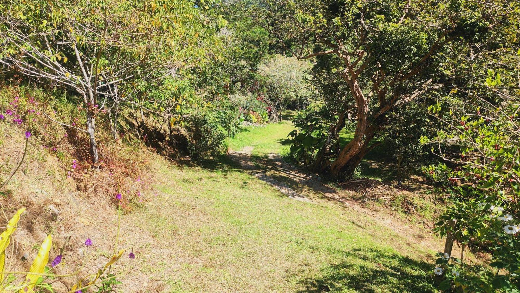 Hospedajes Richie Eco Camp Providencia المظهر الخارجي الصورة