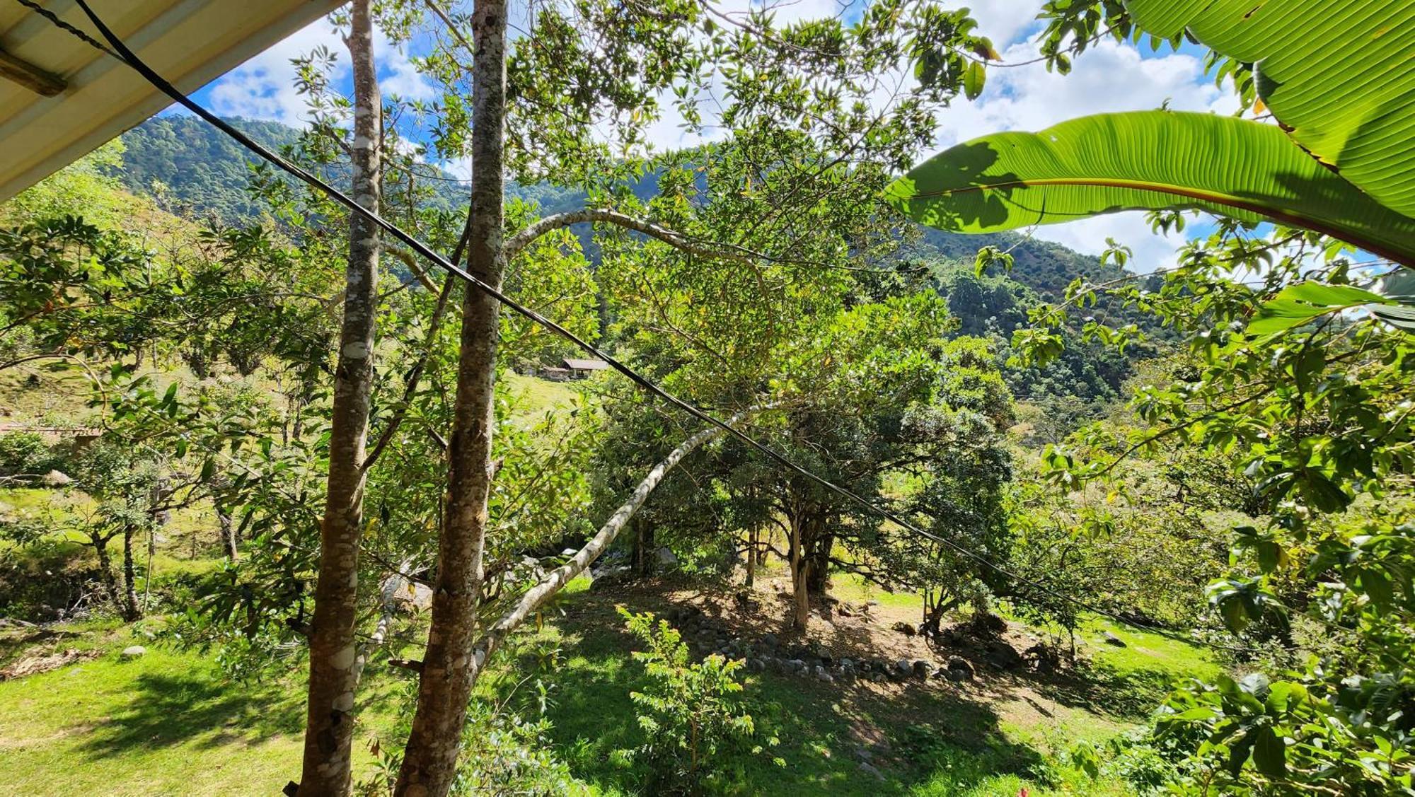 Hospedajes Richie Eco Camp Providencia المظهر الخارجي الصورة