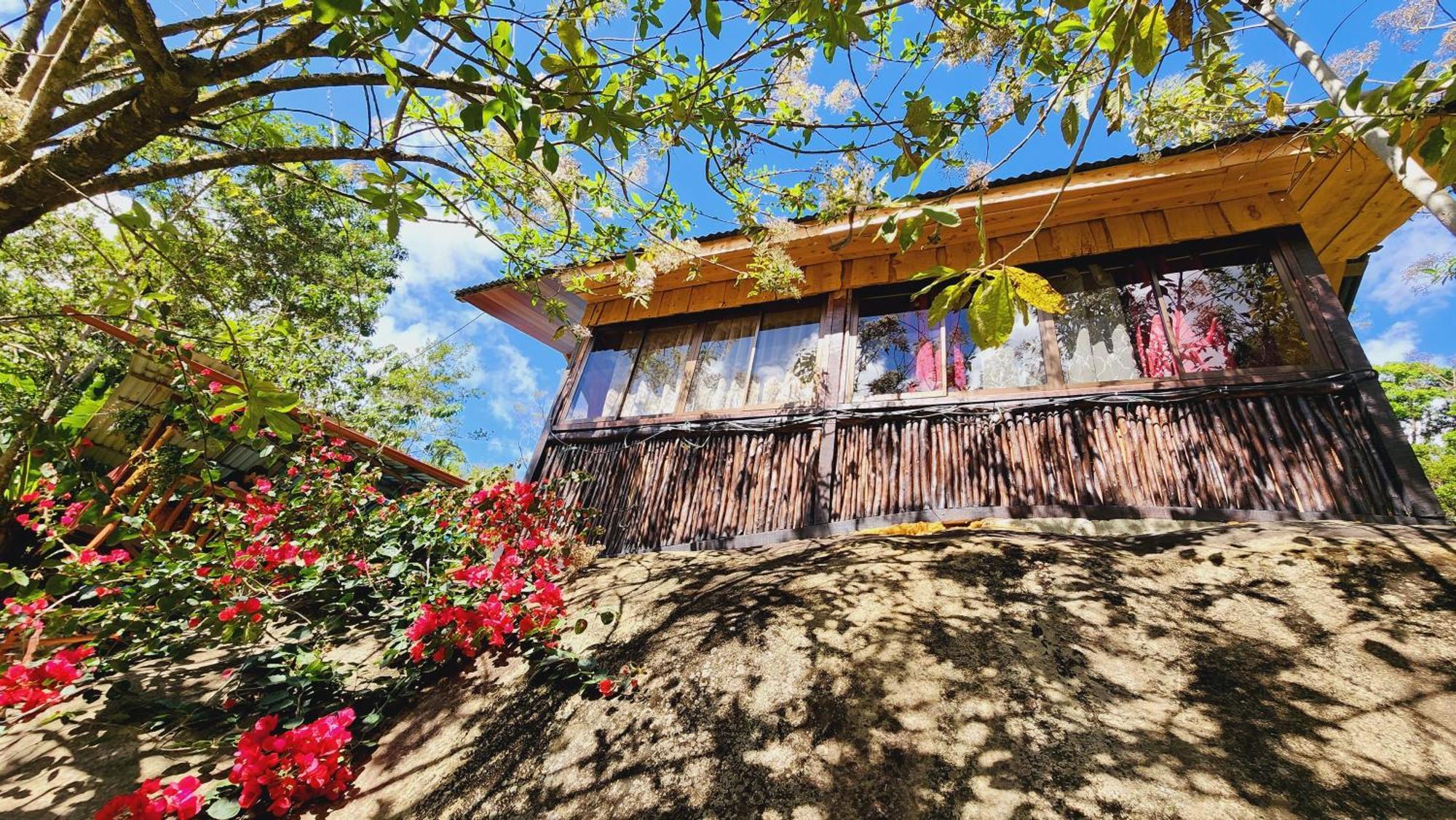 Hospedajes Richie Eco Camp Providencia المظهر الخارجي الصورة